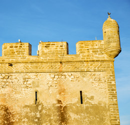 Similar image 9245941