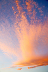 Similar image 9246217