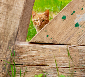 Similar image 9247146