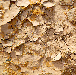 Similar image 9247934