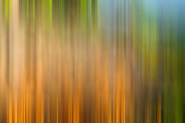 Similar image 9247953