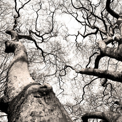 Similar image 9248495