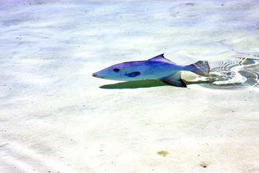 Similar image 9248850