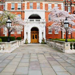 Similar image 9248871