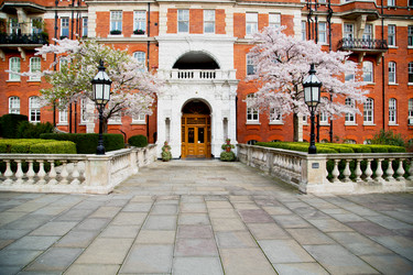 Similar image 9249905