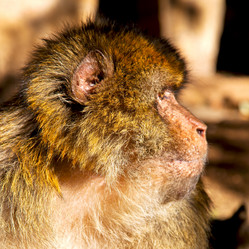 Similar image 9250469