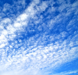 Similar image 9250651