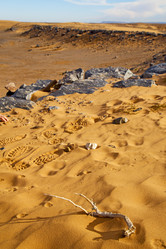 Similar image 9250871