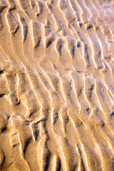 Similar image 9250879