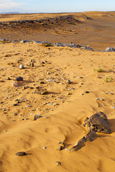 Similar image 9251096