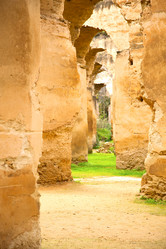 Similar image 9251250