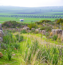 Similar image 9251570