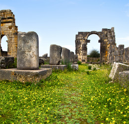 Similar image 9251576