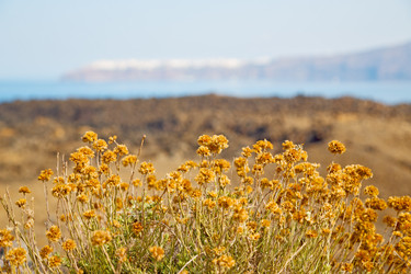 Similar image 9251742