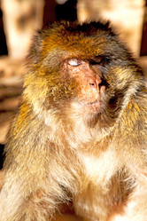 Similar image 9251745