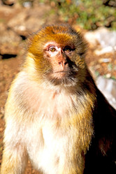 Similar image 9251747