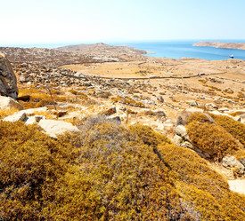 Similar image 9252046