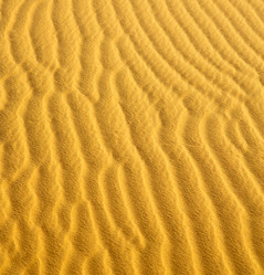 Similar image 9252469