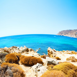 Similar image 9252601