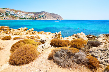 Similar image 9252744