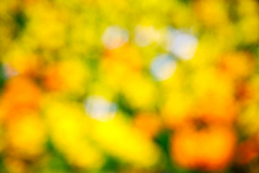 Similar image 9252936