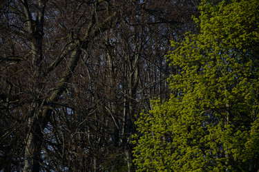 Similar image 9255962