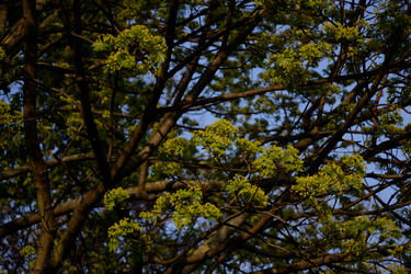 Similar image 9255964