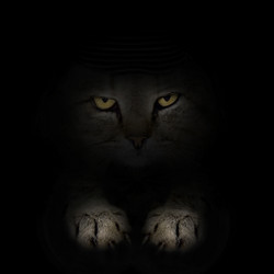 Similar image 9319872