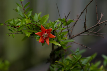 Similar image 9320500