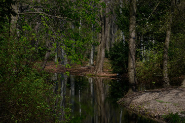 Similar image 9320510