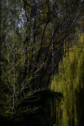 Similar image 9320513