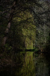 Similar image 9320515