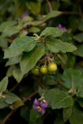 Similar image 9320626