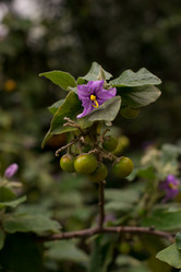 Similar image 9320628