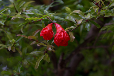 Similar image 9320630