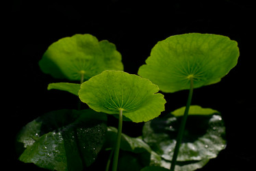 Similar image 9320653