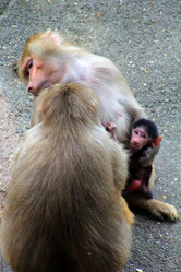 Similar image 9320664