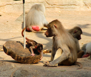 Similar image 9320811