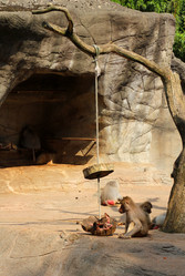 Similar image 9320813