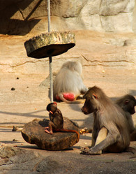 Similar image 9320815