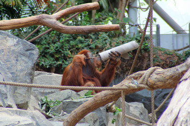 Similar image 9320823