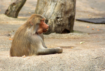 Similar image 9320934