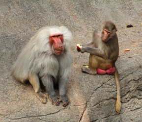 Similar image 9320948