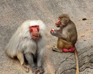 Similar image 9320950