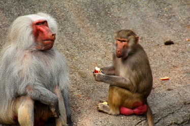 Similar image 9320953