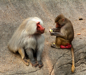 Similar image 9320955