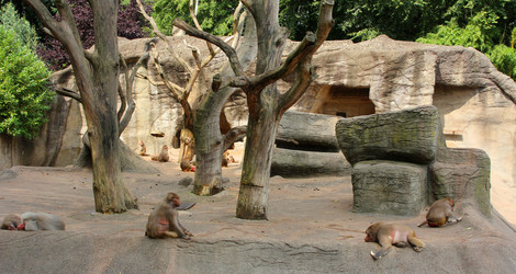 Similar image 9320960