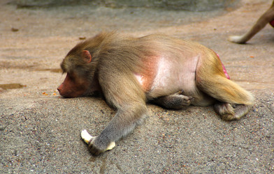 Similar image 9320962