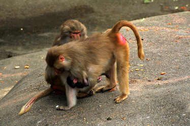 Similar image 9320965