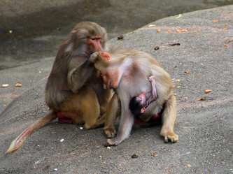 Similar image 9320967